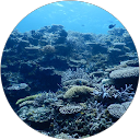 Jun Jun profile picture